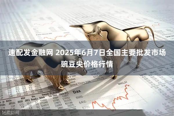 速配发金融网 2025年6月7日全国主要批发市场豌豆尖价格行情