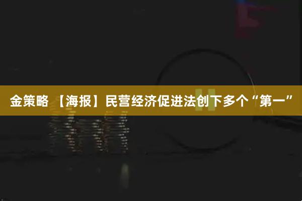 金策略 【海报】民营经济促进法创下多个“第一”